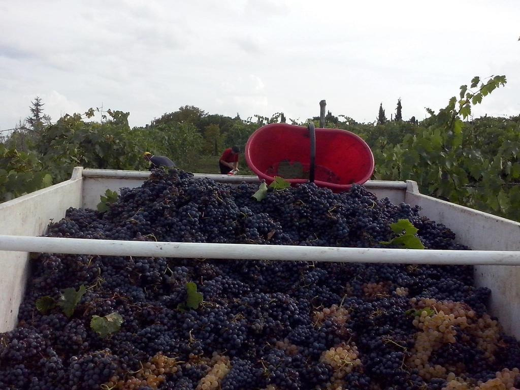 Agriturismo La Querce Rignano sullʼArno Pokój zdjęcie