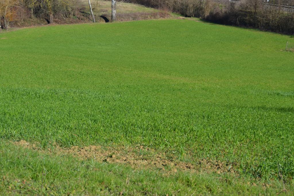Agriturismo La Querce Rignano sullʼArno Pokój zdjęcie