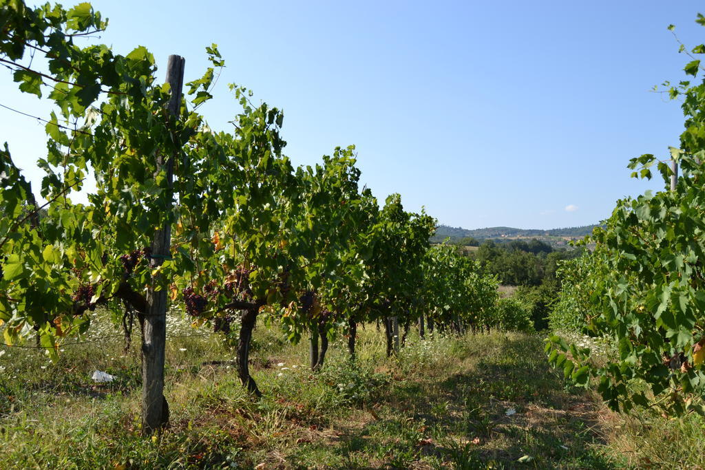 Agriturismo La Querce Rignano sullʼArno Zewnętrze zdjęcie