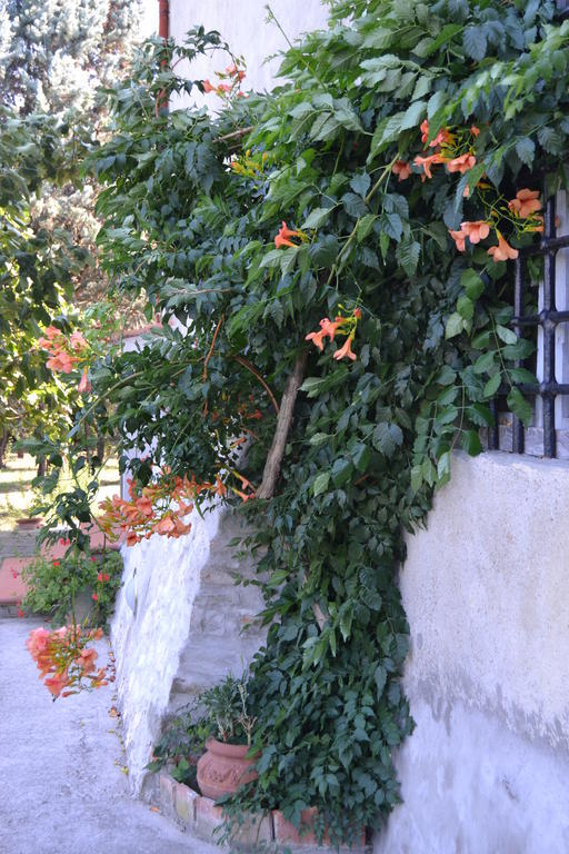 Agriturismo La Querce Rignano sullʼArno Zewnętrze zdjęcie