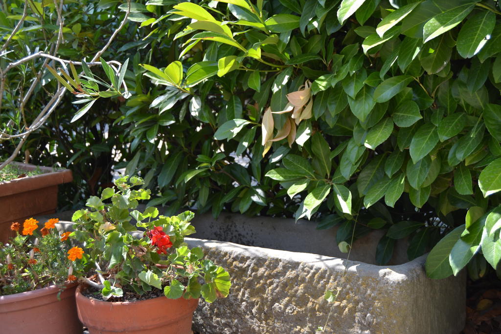 Agriturismo La Querce Rignano sullʼArno Zewnętrze zdjęcie