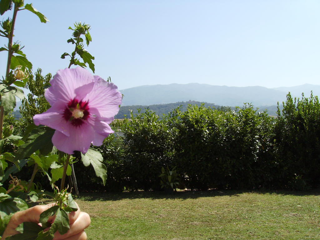 Agriturismo La Querce Rignano sullʼArno Zewnętrze zdjęcie